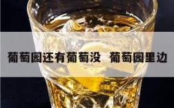 葡萄园还有葡萄没  葡萄园里边