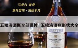 五粮液酒瓶全部图片  五粮液酒瓶形状大全