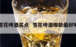 雪花啤酒买点  雪花啤酒哪款最好喝