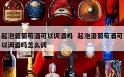 起泡酒葡萄酒可以调酒吗  起泡酒葡萄酒可以调酒吗怎么调