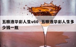 五粮液华彩人生v60  五粮液华彩人生多少钱一瓶