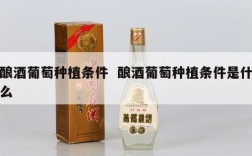 酿酒葡萄种植条件  酿酒葡萄种植条件是什么