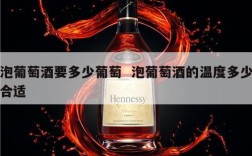 泡葡萄酒要多少葡萄  泡葡萄酒的温度多少合适