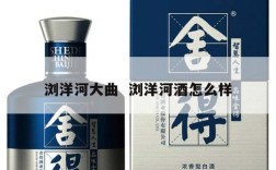 浏洋河大曲  浏洋河酒怎么样