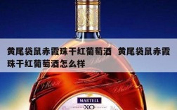 黄尾袋鼠赤霞珠干红葡萄酒  黄尾袋鼠赤霞珠干红葡萄酒怎么样