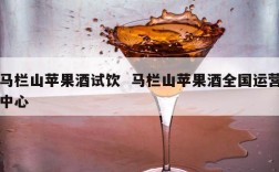 马栏山苹果酒试饮  马栏山苹果酒全国运营中心