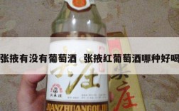 张掖有没有葡萄酒  张掖红葡萄酒哪种好喝