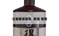 记者酿酒葡萄  酿酒 葡萄
