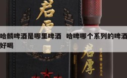 哈麟啤酒是哪里啤酒  哈啤哪个系列的啤酒好喝