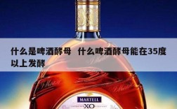 什么是啤酒酵母  什么啤酒酵母能在35度以上发酵