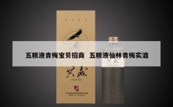 五粮液青梅宝贝招商  五粮液仙林青梅实酒