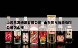 山东三发啤酒有限公司  山东三发啤酒有限公司怎么样