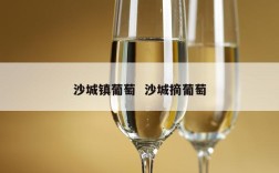 沙城镇葡萄  沙城摘葡萄