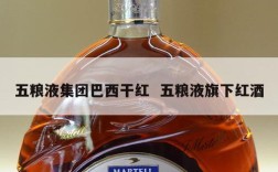 五粮液集团巴西干红  五粮液旗下红酒