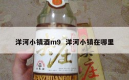 洋河小镇酒m9  洋河小镇在哪里
