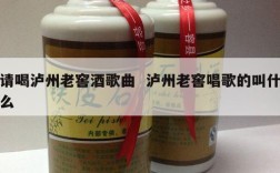 请喝泸州老窖酒歌曲  泸州老窖唱歌的叫什么