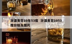 汾酒青花10年53度  汾酒青花1053度价格及图片