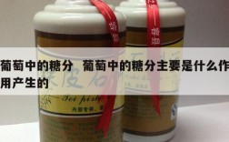 葡萄中的糖分  葡萄中的糖分主要是什么作用产生的