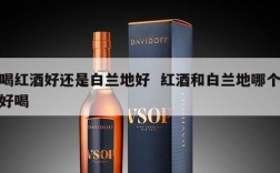 喝红酒好还是白兰地好  红酒和白兰地哪个好喝
