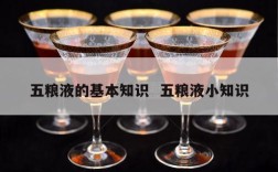 五粮液的基本知识  五粮液小知识