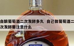 自酿葡萄酒二次发酵多久  自己做葡萄酒二次发酵要注意什么