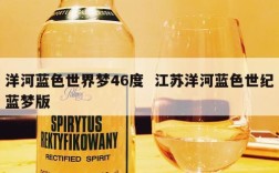 洋河蓝色世界梦46度  江苏洋河蓝色世纪蓝梦版