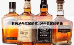 有关泸州老窖的歌  泸州老窖的歌曲