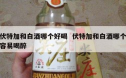伏特加和白酒哪个好喝  伏特加和白酒哪个容易喝醉