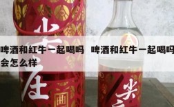 啤酒和红牛一起喝吗  啤酒和红牛一起喝吗会怎么样