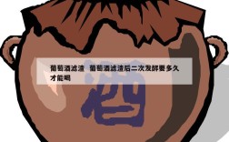 葡萄酒滤渣  葡萄酒滤渣后二次发酵要多久才能喝