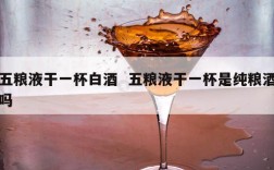 五粮液干一杯白酒  五粮液干一杯是纯粮酒吗