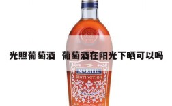光照葡萄酒  葡萄酒在阳光下晒可以吗