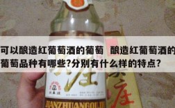可以酿造红葡萄酒的葡萄  酿造红葡萄酒的葡萄品种有哪些?分别有什么样的特点?
