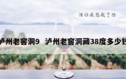 泸州老窖洞9  泸州老窖洞藏38度多少钱