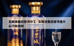 五粮液集团邹涛分工  五粮液集团邹涛是什么行政级别