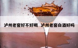 泸州老窖好不好喝  泸州老窖白酒好吗