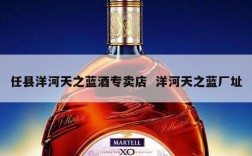 任县洋河天之蓝酒专卖店  洋河天之蓝厂址