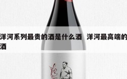 洋河系列最贵的酒是什么酒  洋河最高端的酒
