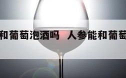 人参能和葡萄泡酒吗  人参能和葡萄酒一起吃吗