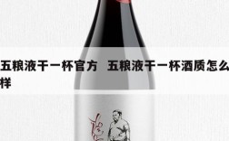 五粮液干一杯官方  五粮液干一杯酒质怎么样