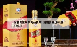 汾酒青玉坊系列的视频  汾酒青玉坊53度475ml