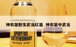 神农架野生武当红酒  神农架中武当