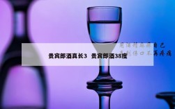 贵宾郎酒真长3  贵宾郎酒38度