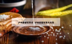 泸州老窖优势点  泸州老窖优势与劣势