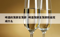 啤酒的发酵主发酵  啤酒发酵主发酵阶段完成什么