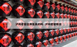 泸州老窖巡演是真的吗  泸州老窖晚会