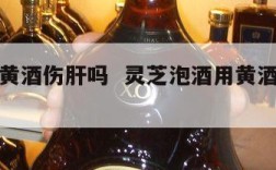 灵芝泡黄酒伤肝吗  灵芝泡酒用黄酒好还是白酒好