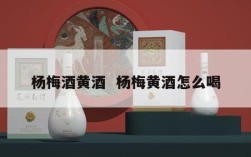 杨梅酒黄酒  杨梅黄酒怎么喝
