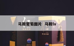 马鞍葡萄图片  马鞍lv