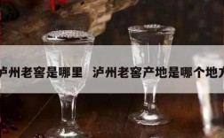 泸州老窖是哪里  泸州老窖产地是哪个地方
